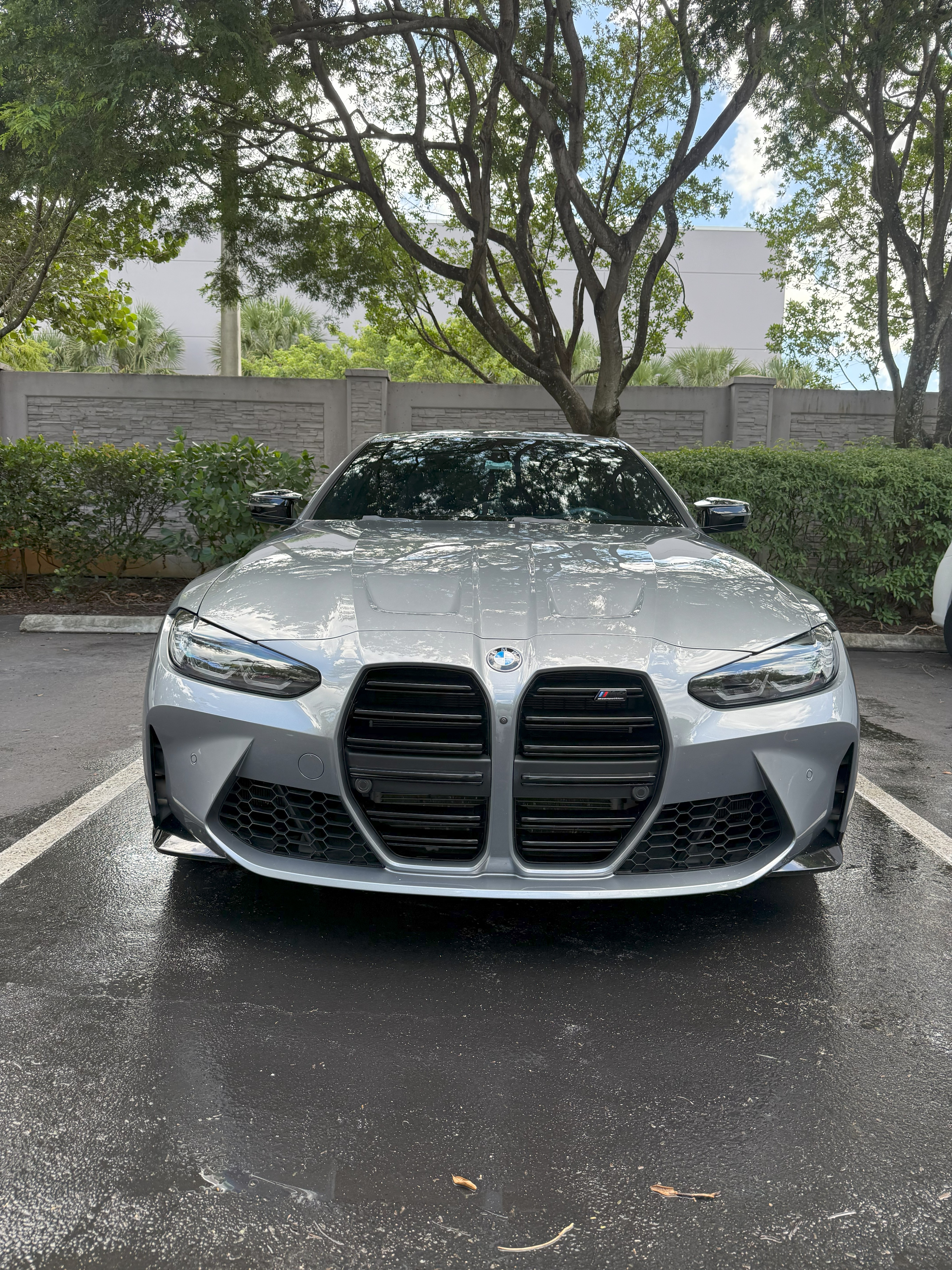 JP Detailing work